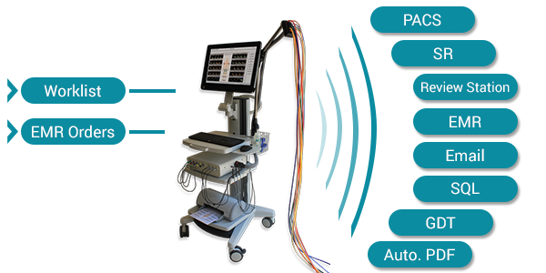 Segmental Blood Pressures for Vascular Diagnosis - Viasonix